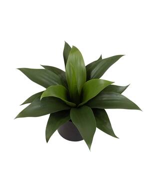 Plant agave artificial 31x34x34cm