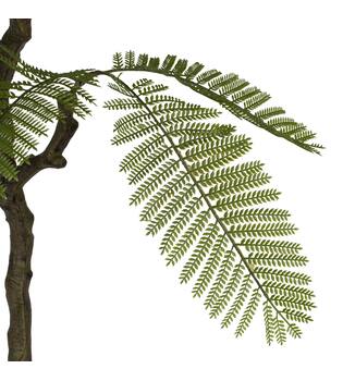 Plant fern artificial 120x55x55cm