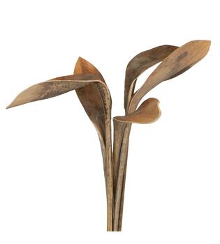 Branch shoe horn nature 67x20x8cm 5pc