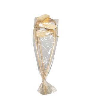 Branch shoe horn nature 67x20x8cm 5pc - Cream