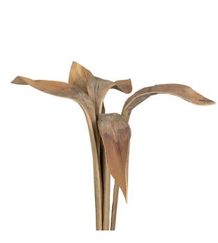 Branch shoe horn nature 74x20x10cm 5pc - Cream
