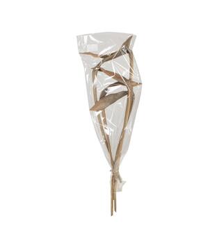 Branch shoe horn nature 74x20x10cm 5pc - Cream