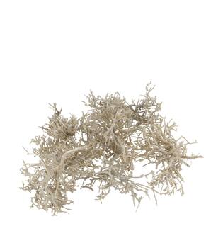 Tree dry small in tray nature 38x18x7.5cm 15pc - White