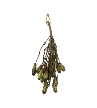 Branch with mahogany coco 65x20x10cm - Green