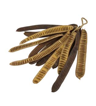Hanger step fruit nature 75x17x8cm 14pc
