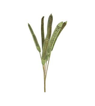 Branch step fruit vizy rope with wire nature 100x20x4cm 5pc - Green