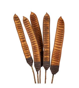 Branch step fruit vizy rope with wire nature 100x20x4cm 5pc