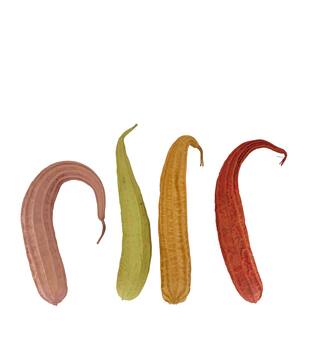 Fruit mix jhinga giant painted nature 43x8x8cm 4pc