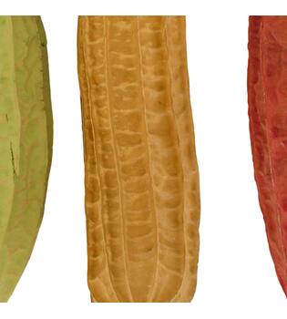 Fruit mix jhinga giant painted nature 43x8x8cm 4pc