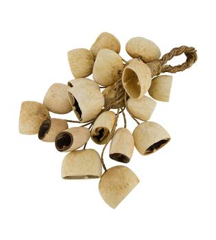 Hanger palm pod nature 55x22x13cm 20pc