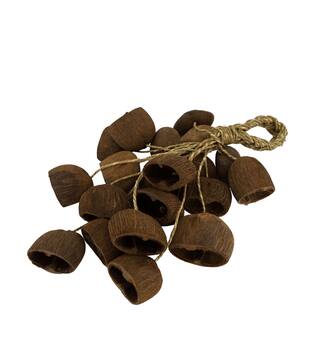 Hanger palm pod nature 55x22x13cm 20pc