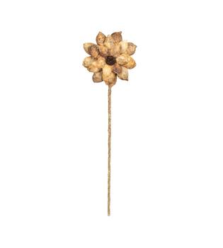 Flower beetal pod nature 70x15x15cm - Natural