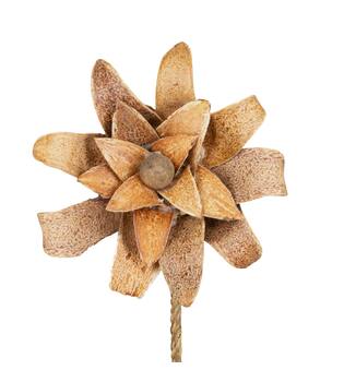 Flower mahogany spoon nature 70x15x15cm