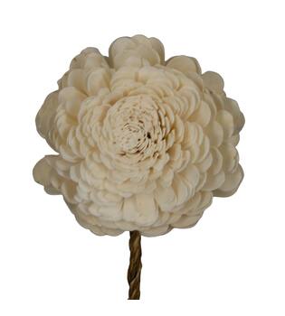 Flower sola belli nature 65x12x12cm
