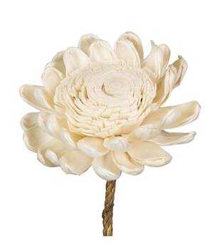 Flower sola new beauty rose kadam centre nature 65x12x12cm - Cream