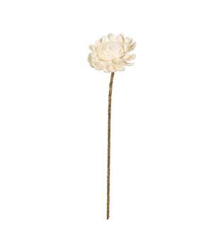 Flower sola new beauty rose kadam centre nature 65x12x12cm - Cream
