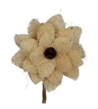 Flower luffa nature 75x15x15cm