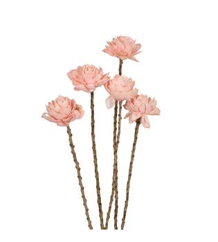Flower sola dahlia coco 55x6x6cm 5pc