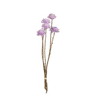 Flower sola dahlia coco 55x6x6cm 5pc - Purple