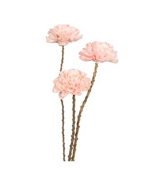 Flower sola dahlia coco 55x10x10cm 3pc - Pink