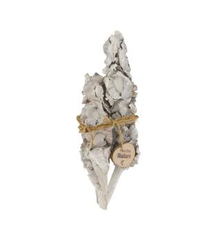 Stick palm female bundle with vizy rope nature 40x13x11cm 3pc - White