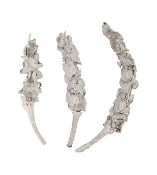 Stick palm female bundle with vizy rope nature 40x13x11cm 3pc - White
