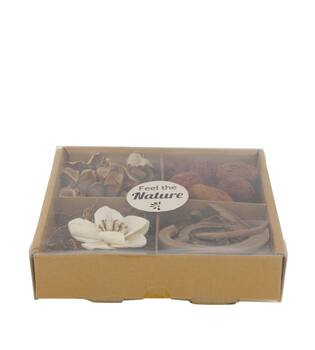Exotic mix potpourri sola orchid tray nature 18.5x18.5x4cm - Natural