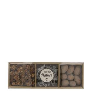 Exotic mix potpourri amrapod tray nature 28.5x10x4cm