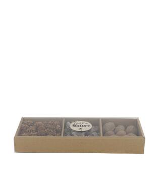 Exotic mix potpourri amrapod tray nature 28.5x10x4cm