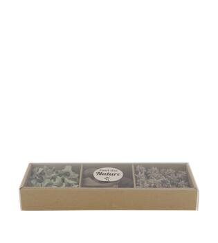 Exotic mix potpourri coco cut tray nature 28.5x10x4cm - Blue