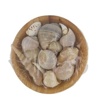 Shell in round bowl nature 13x13x5cm 90gr