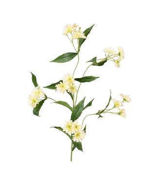 Branch chrysanthemum artificial 85x30x20cm - Cream