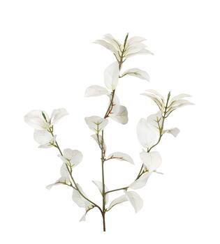 Branch eucalyptus artificial 81x25x13cm