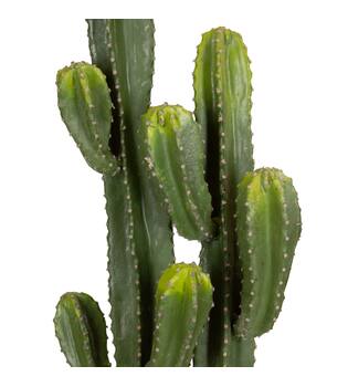 Plant cactus artificial 37x37x130cm
