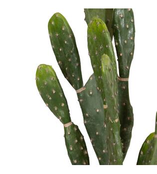 Plant cactus artificial 30x20x99cm