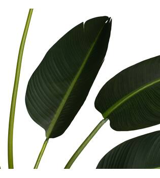 Plant strelitzia artificial 120x100x235cm KD
