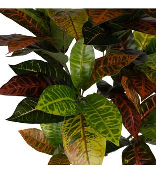Plant croton artificial 70x70x100cm - Green