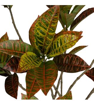 Plant croton artificial 55x60x125cm