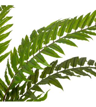Plant fern artificial 140x140x70cm - Green