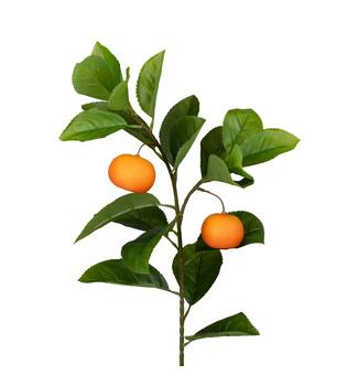 Branch mandarin artificial 83x20x20cm - Orange