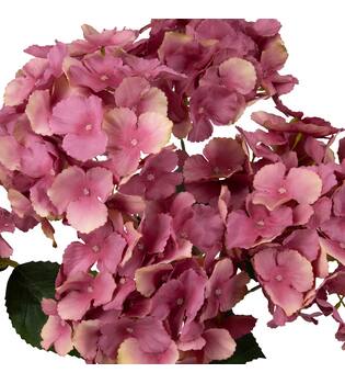 Flower hydrangea artificial 50x40x30cm - Pink