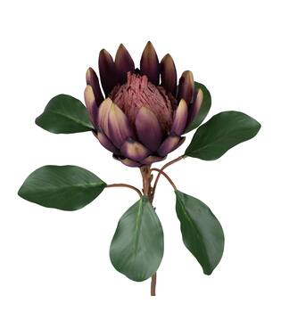 Branch artificial 66x30x25cm - Purple