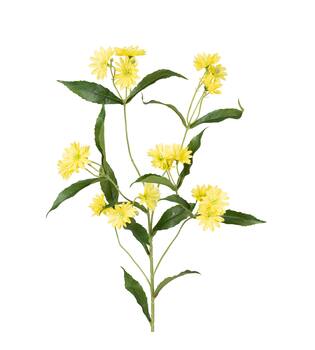 Branch chrysanthemum artificial 85x30x20cm - Yellow