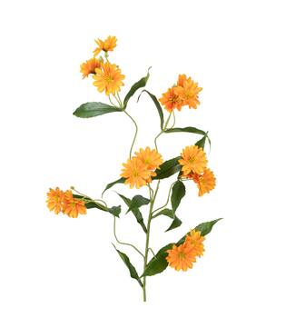 Branch chrysanthemum artificial 85x30x20cm - Orange