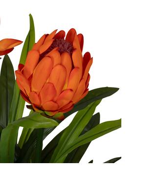Flower protea artificial 80x75x116cm - Orange