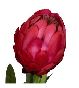 Flower protea artificial 80x75x116cm - Pink