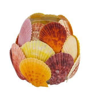 Tealight holder glass with shells 13x13x12.5cm - Multi