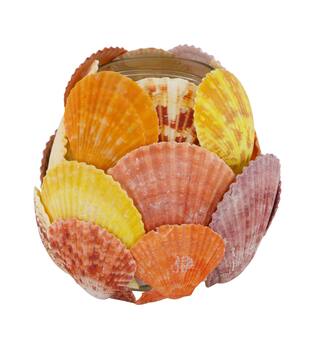 Tealight holder glass with shells 13x13x12.5cm - Multi