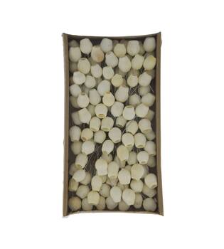 Bellgums on wire stem 80pc in tray 36x20x5cm