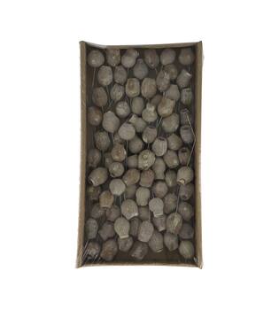 Bellgums on wire stem 80pc in tray 36x20x5cm - White